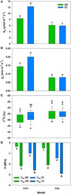 Natural Carbon Isotope Composition Distinguishes Compound Groups of Biogenic Volatile Organic Compounds (BVOC) in Two Mediterranean Woody Species